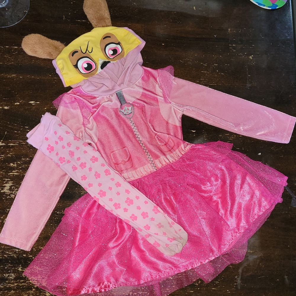 3T Paw Patrol Skye Costume